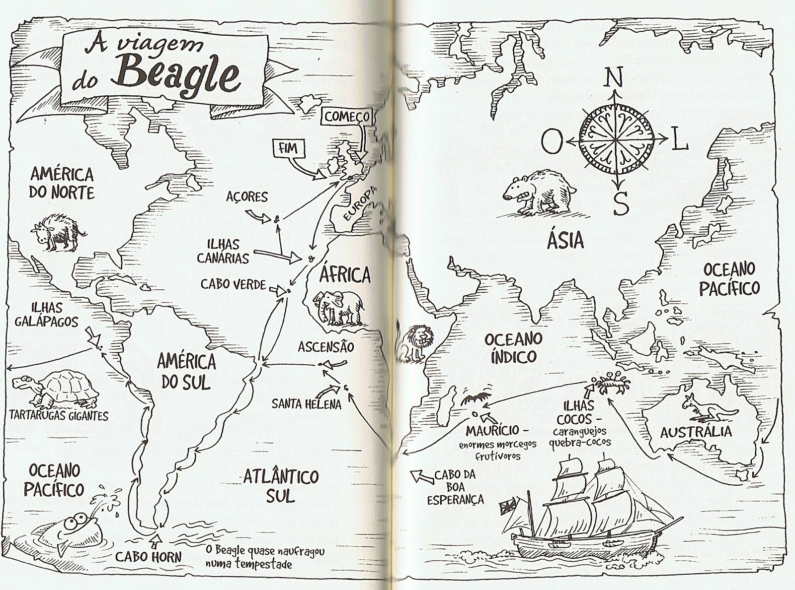 a viagem do beagle